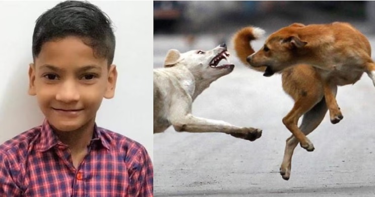 11-year old boy killed in suspected stray dog attack in Kannur