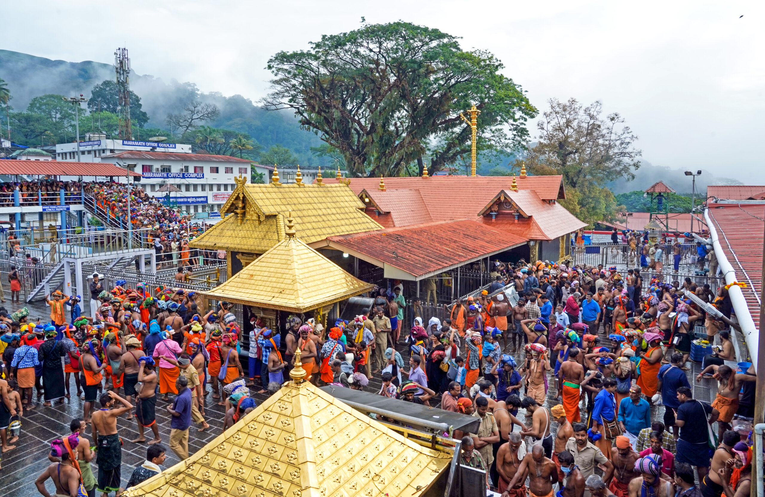 Sabarimala Rush Continues: 87,493 Devotees Arrive in a Single Day; Spot Booking to Be Controlled Based on Crowd