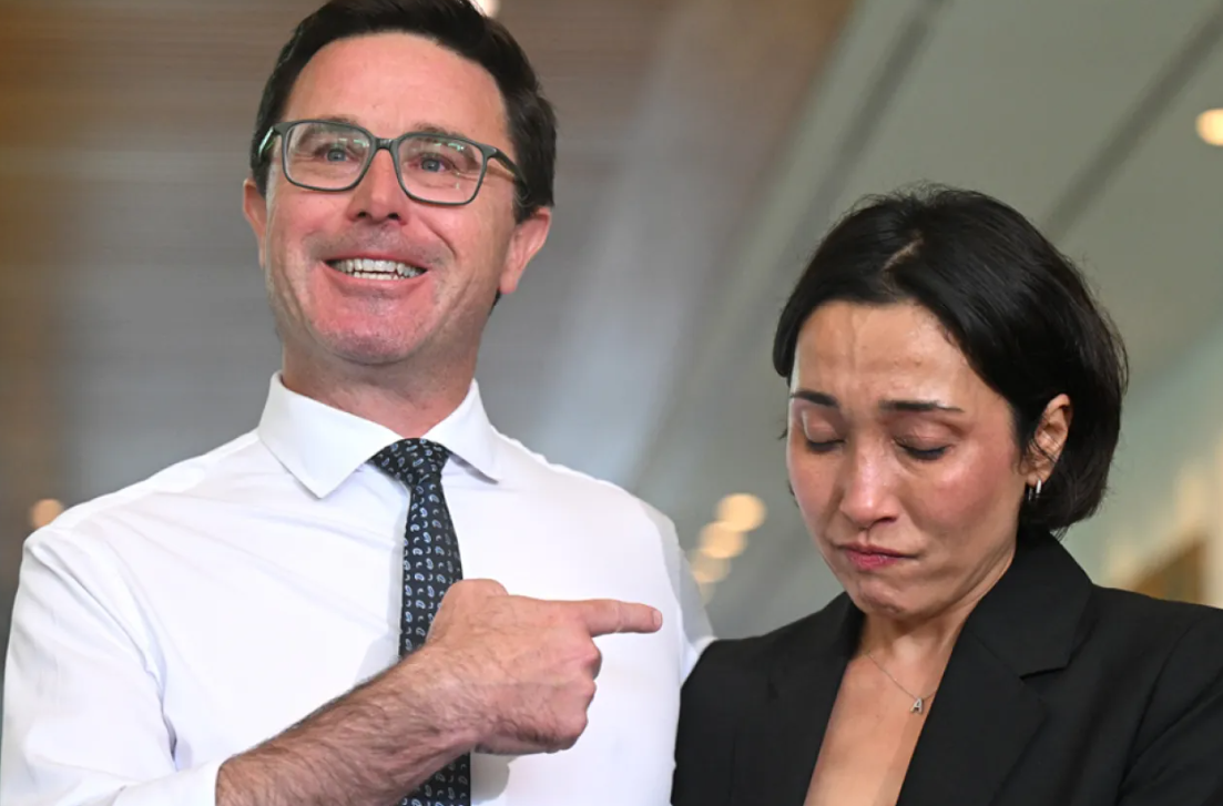 David Littleproud resigns as National Party leader in Australia